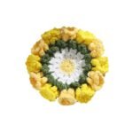 Hand-knitted Flower Woven Linglan Coaster - Image 5