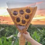 Crochet Bouquet Woven Wool Hand-woven Diy Material Package Set Birthday Gift - Image 4